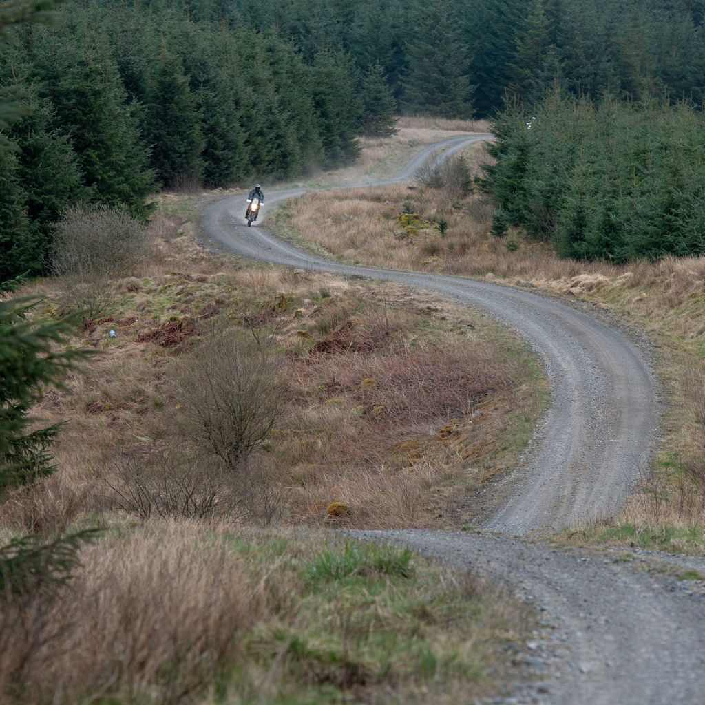 Twisty gravel road in forest