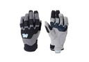 ​Alpine Windproof Glove - non current